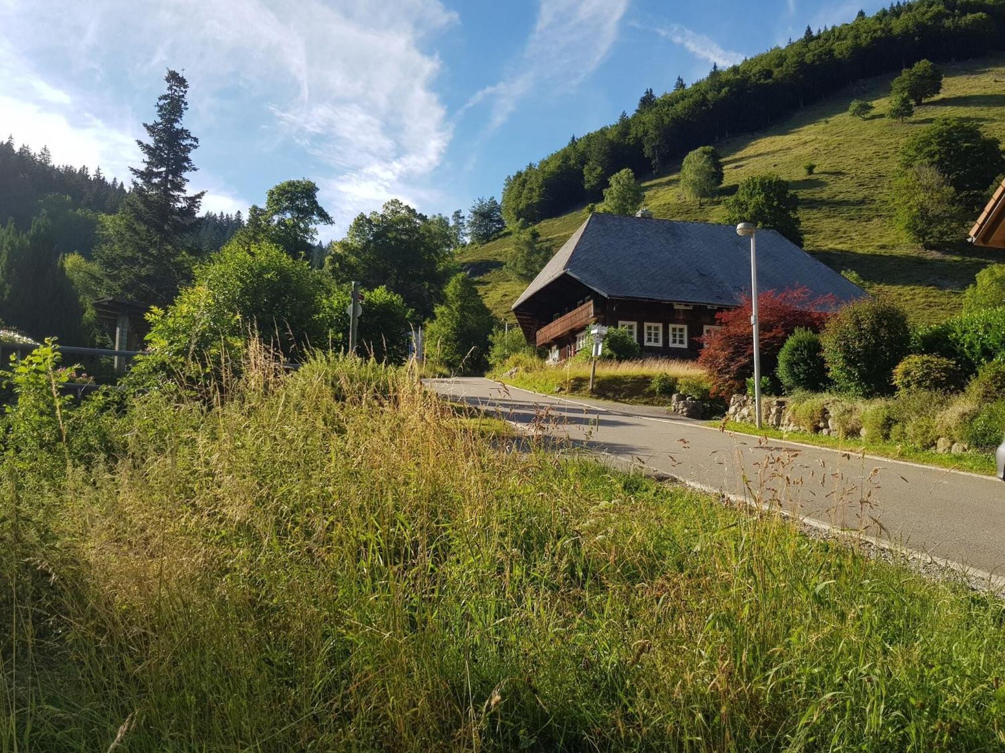 Apartment In Brandenberg With Terrace Todtnau Exterior foto